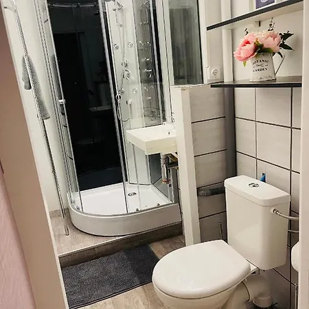 Le Cosy - Lumineux - Proche De Rennes - Spacieux Apartment Liffre